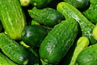 Uhorkovy sok v Rusku Ceny oblibenej delikatesy vzrastli hnev ludi znepokojuje politikov