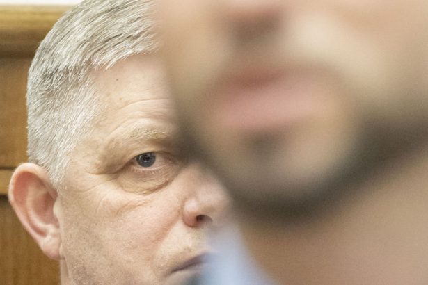 ficova vlada nariadila plosne kontroly mimovladnych organizacii kdh ako v autokracii sikana a vytvaranie fiktivneho nepriatela