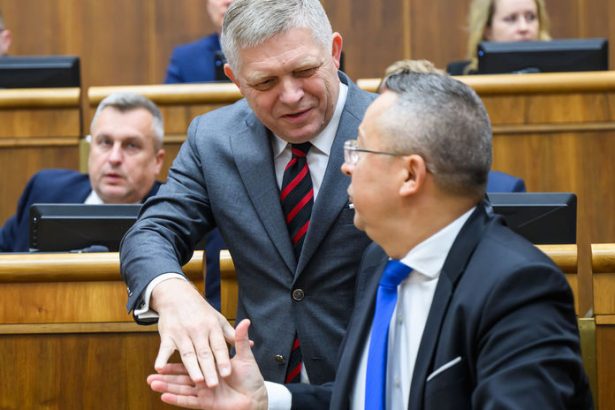 Hrozi vlade hlasovanie o dovere rozhodne ustanovny sud sr