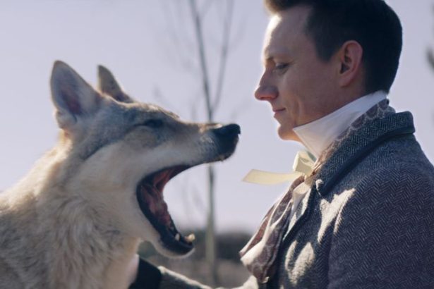 Mozno to AI nakoniec vsetko ovladne