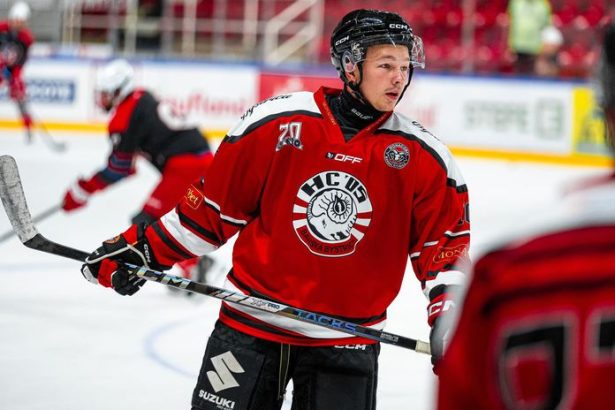 Narodil sa v Posku jeho rodiia s z Ukrajiny on reprezentuje Slovensko Po spenej sezne je v domcej lige najlep