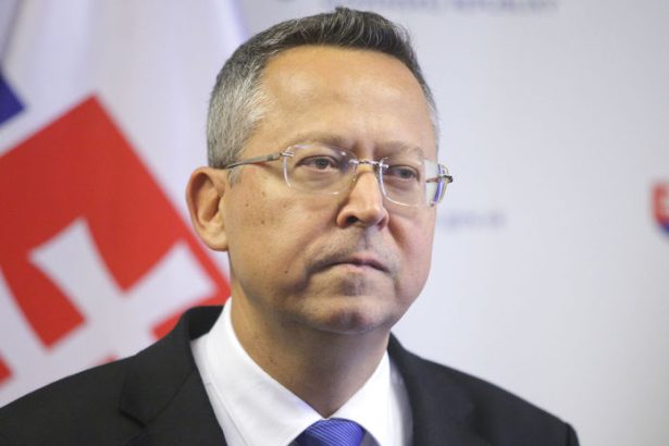 Nove ceny paliv sa zavadzaju skor Kamenicky meni harmonogram na cerpacich staniciach a vypocita priemer od susednych krajin