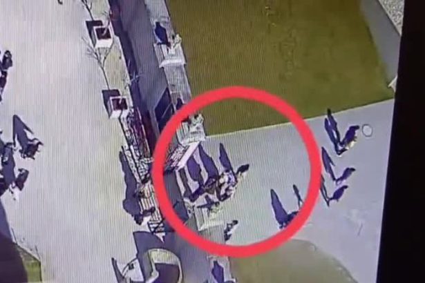 VIDEO Ako posobia vreckari na Bratislavskom hrade Policajti ich prichytili pri cine