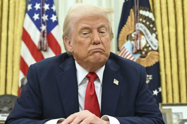 Z Trumpa sa stava diktator USA uz nie su demokraciou tvrdia odbornici