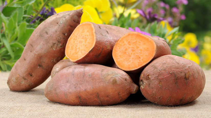 bataty nie su len modou pomahaju regulovat hladinu cukru v kri krvny tlak aj travenie preco im dat sancu