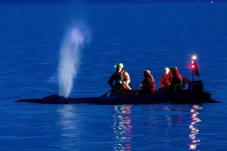 zachrana ktora dojala nemecko verlyba unikla z plytciny ludia jej pomohli boj o navrat domov vsak pokracuje