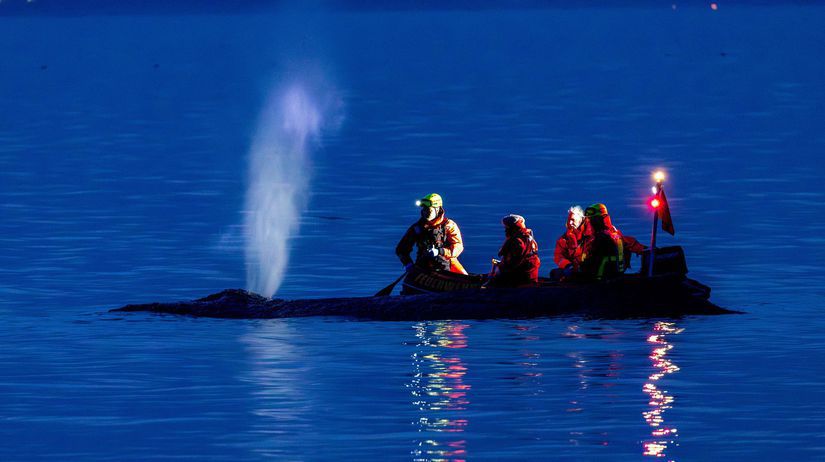 zachrana ktora dojala nemecko verlyba unikla z plytciny ludia jej pomohli boj o navrat domov vsak pokracuje