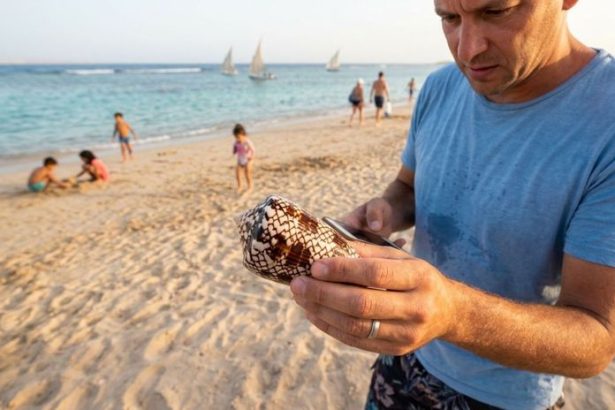 Je to loteria so smrtou Pavel si z plaze priniesol v plavkach zabijaka s harpunou na ktorho neexistuje protijak