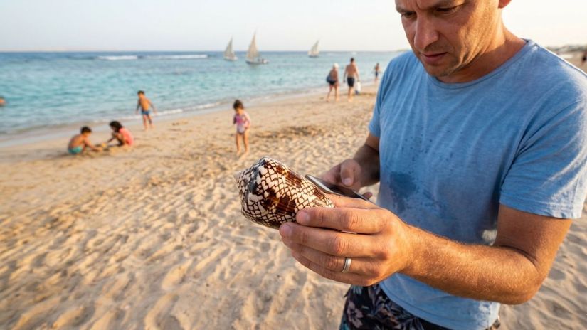 Je to loteria so smrtou Pavel si z plaze priniesol v plavkach zabijaka s harpunou na ktorho neexistuje protijak