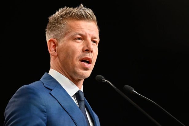 Madar hovoril so sefom strany Madarska aliancia Gubikom pozval ho do Budapesti