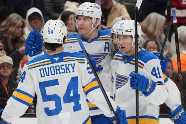 Skvely vykon Dvorskych v zapase Slovensky mladik prispel k porazke Anaheimu