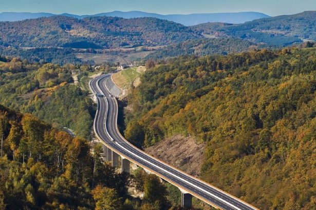 stane sa cesta v koronach stromov stavbou roka dopravny analytik ju zaraduje medzi prvych pat