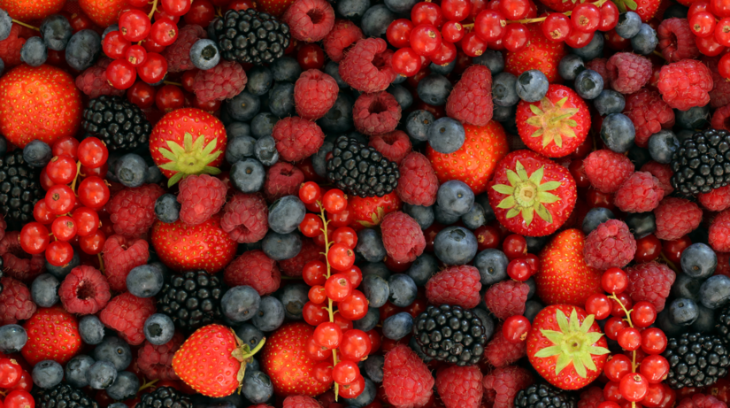 toto bezne jedlo vo vaskej kuchyni moze robit viac nez si myslite vedci hovoria o pomalsom starnuti