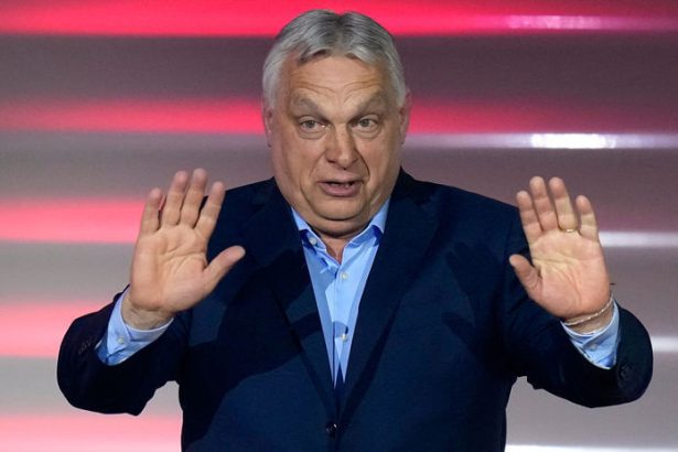 Politicke zneuzivanie ekonomiky nefunguje ani v Madarsku ani u nas