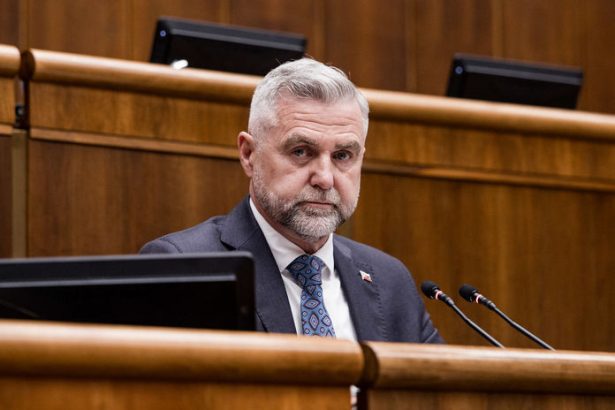 Sicilia mala svoju Cosa Nostra Slovensko gasparovsku mafiu Opozicia ziada o odstupenie podpredsedu parlamentu