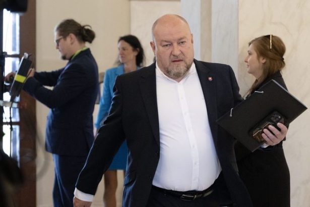 Vlada schvalila zmeny v pandemickej dohode a daniach SNS kritizuje zrusenie rekreacnych poukazov