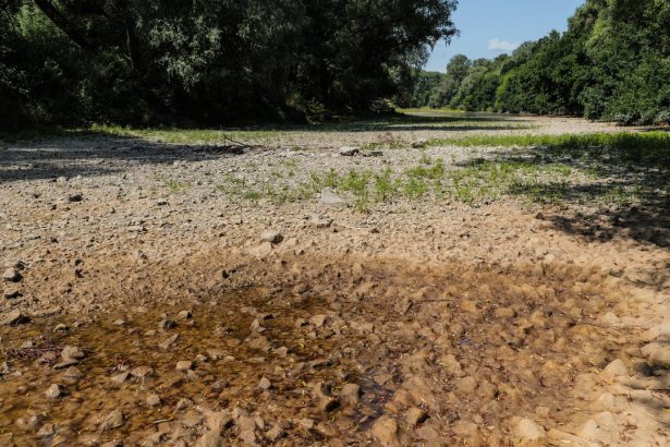Klimatolog o suchu na Slovensku Prechadzame z extremu do extremu Moze sa to este zhorsit rozhovor