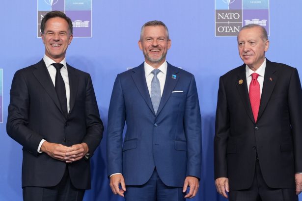 Samit NATO odhalil trhliny Politolog Pozeraju sa na nas cez prsty Slovensko Kyjevu peniaze neda spojenci si uz zvykli