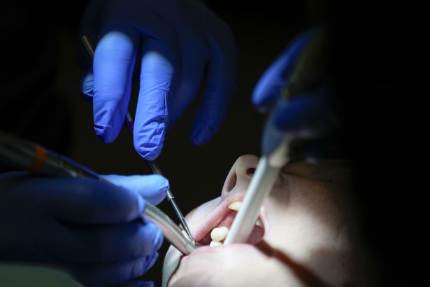 Ziadne korunky ani implantaty Vedci chcu prinutit telo aby si vypestovalo nove zuby samo