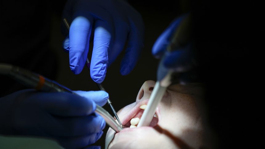 Ziadne korunky ani implantaty Vedci chcu prinutit telo aby si vypestovalo nove zuby samo
