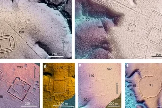 Archeologovia v Amazonii nasli stopy vyspelej starovekej spolocnosti Ide o stovky stavieb Zem Veda a technika