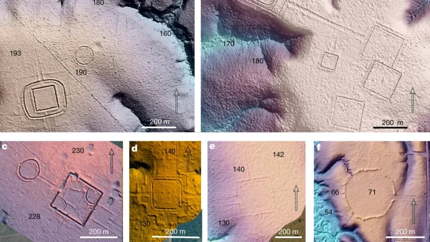 Archeologovia v Amazonii nasli stopy vyspelej starovekej spolocnosti Ide o stovky stavieb Zem Veda a technika