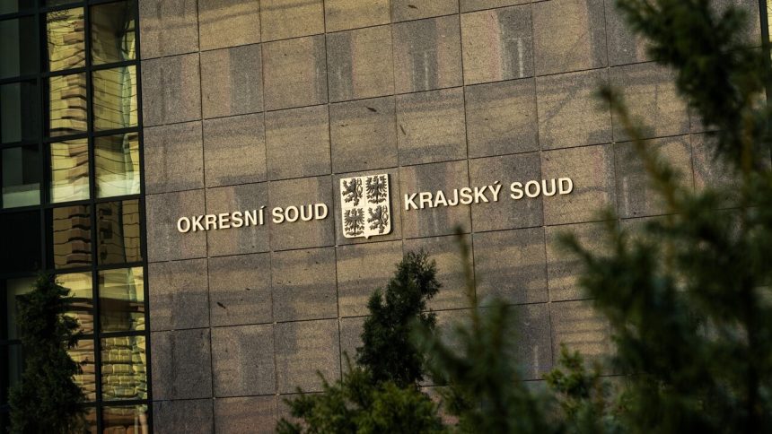 Dievcatko z Ceska vydavalo zvuky balo sa vody a muselo zit na ulici Otec vlcieceho dietata spoznal svoj trest