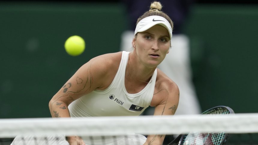 Pozrite sa na pripady Talian a hviezdnej polky Ceska bojuje proti likvidacnemu trestu Tenis Sportweb