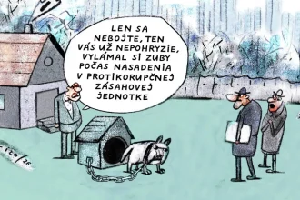 VICO, 25.09.2026 – Karikatúra: Názory a postoje