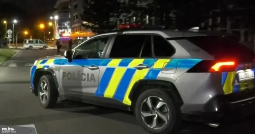 19-ročný mladík mal v žilinskej škole hroziť dobodaním spolužiakov. Súd ho poslal do väzby