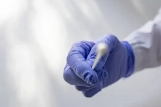 Exotická nákaza mení európske štatistiky. Pozor na uštipnutie, môže byť smrteľné