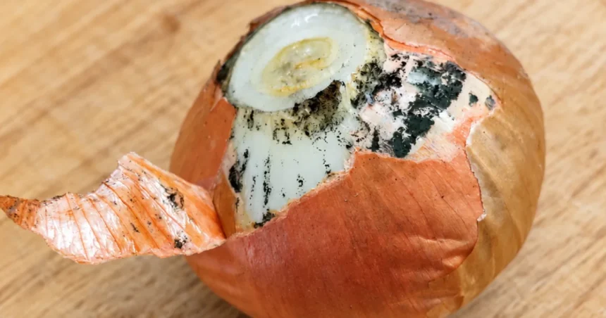 Kúpili ste peknú cibuľu, no po ošúpaní šok? Čierny prášok pod šupkou neveští nič dobré