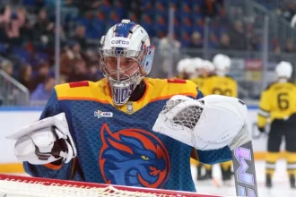 Liptovský Mikuláš angažoval brankára s 250 štartmi v KHL