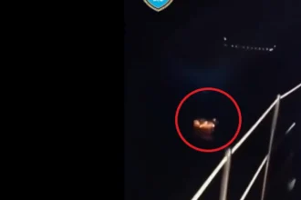 VIDEO: Loď s 3 350 ľuďmi narazila do dvoch nákladných lodí, polícia preveruje kapitána