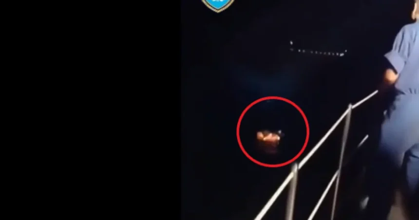 VIDEO: Loď s 3 350 ľuďmi narazila do dvoch nákladných lodí, polícia preveruje kapitána
