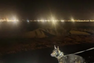Vo vlaku si všimla plačúceho mladíka. Jediným telefonátom ukončila rozsiahle pátranie